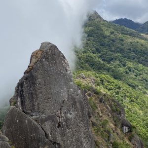 Hiking India Vieja
